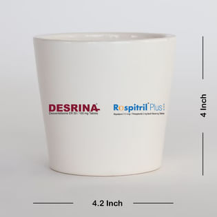  Desrina And Rospitril Plus Branding Pot With Jade Plant