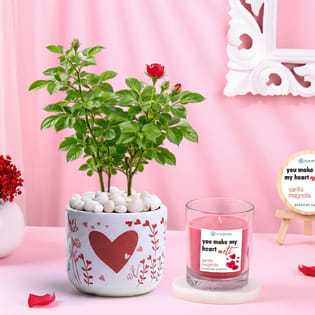 Rose Plant In Heart Pot N Vanilla Candle Combo