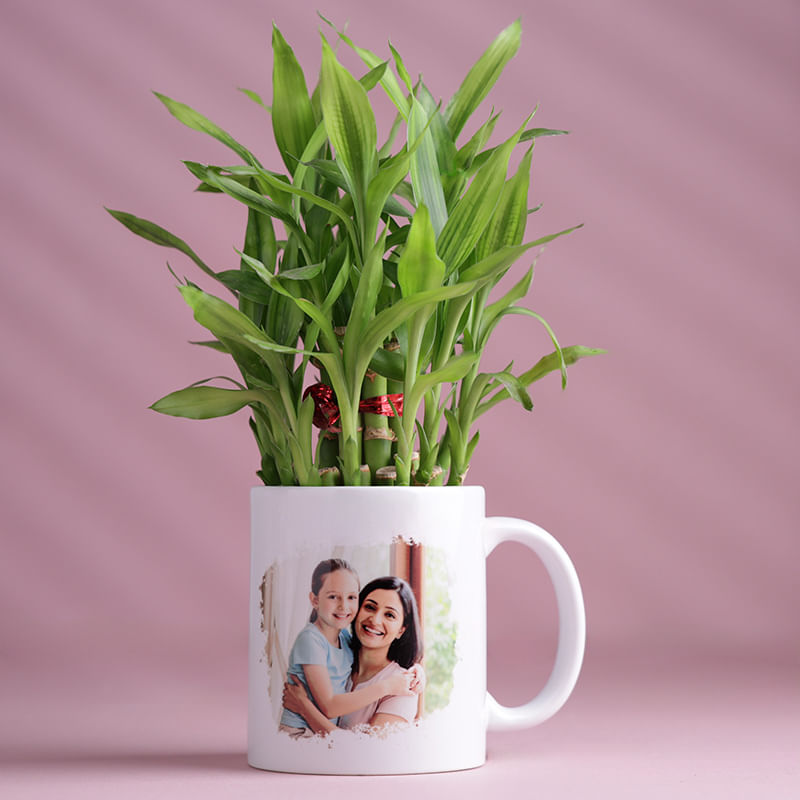 Daugther Day Bamboo Plant In Photo Mug