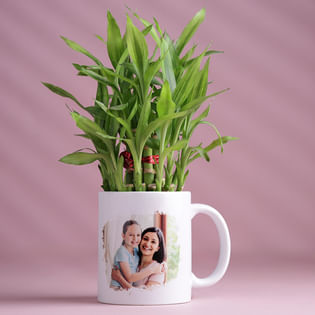 Daugther Day Bamboo Plant In Photo Mug