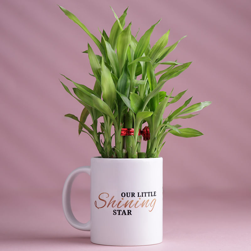 Product Image Video