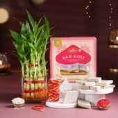 Bamboo Plant N Kaju Katli Festive Hamper
