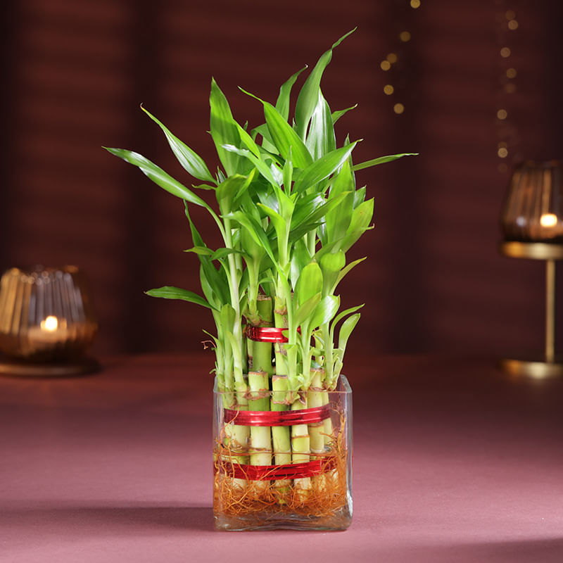 Product Image Video