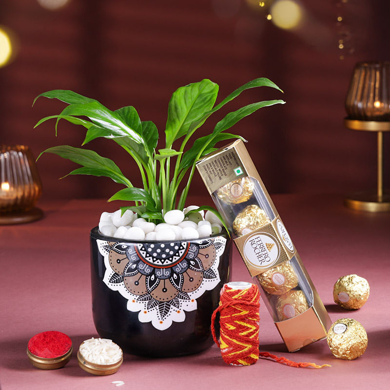 Peace Lily With Chocolates N Kalawa
