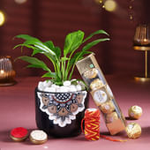 Peace Lily With Chocolates N Kalawa