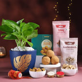 Money Plant N Festive Treats Hamper