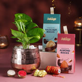 Money Plant N Sweet Festive Hamper