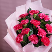 Pink Carnations Bouquet (Bunch of 10 Pink carnation)