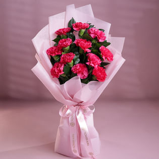 Pink Carnations Bouquet (Bunch of 10 Pink carnation)