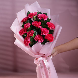Pink Carnations Bouquet (Bunch of 10 Pink carnation)