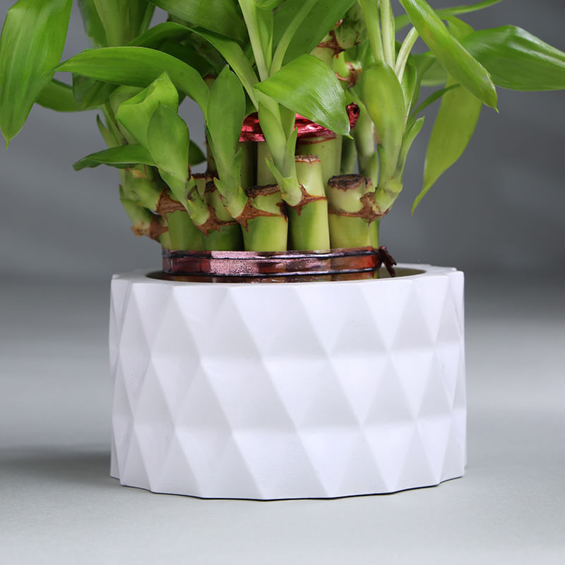 Product Image Video