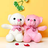 Teddy Day Gifts - Combo of Two Teddies