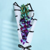 1 Blue Orchid In White Paper