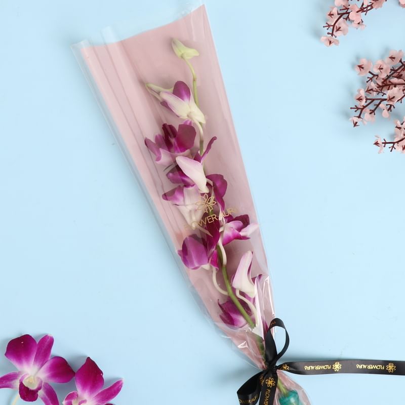 1 Purple Orchid In Floweraura Sleeve