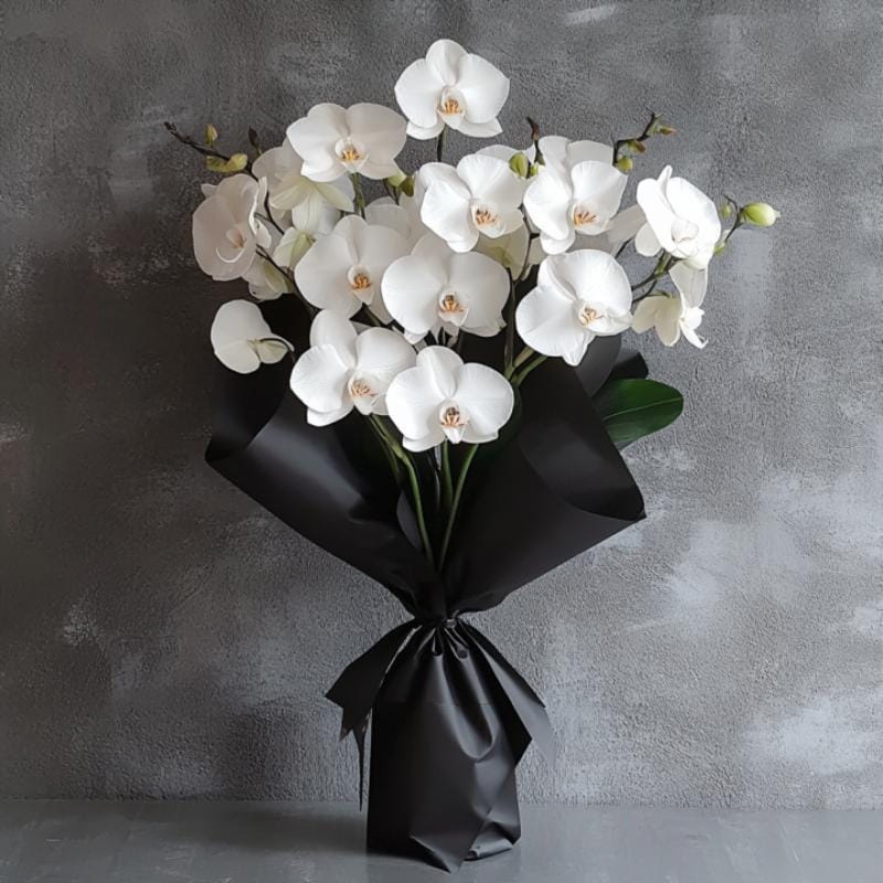 10 White Orchids in Luxe Black Wrap