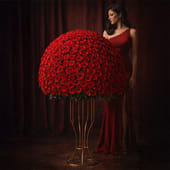 1000 red roses bunch