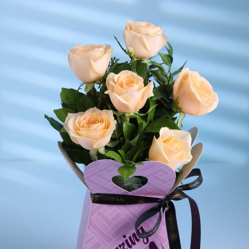 Product Image Video