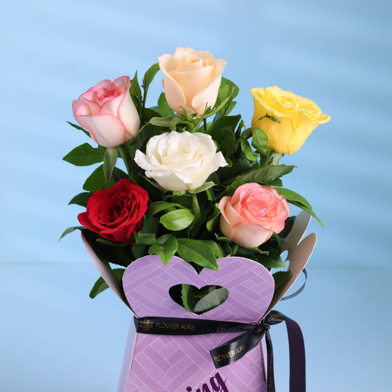 Product Image Video