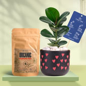 Rubber In Heart Glow Terracotta Pot With Manure