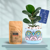 Rubber In Rangoli Charm Terracotta Planter With Manure