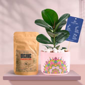 Rubber In Pink Rangoli Terracotta Planter With Manure