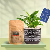 Peace Lily In Black Terracotta Pot With Tribal Print With Manure