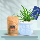 Spider In Floral Sky Terracotta Planter With Manure