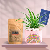 Spider In Pink Rangoli Terracotta Planter With Manure
