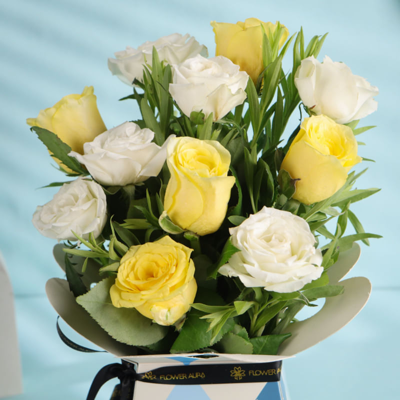 Product Image Video