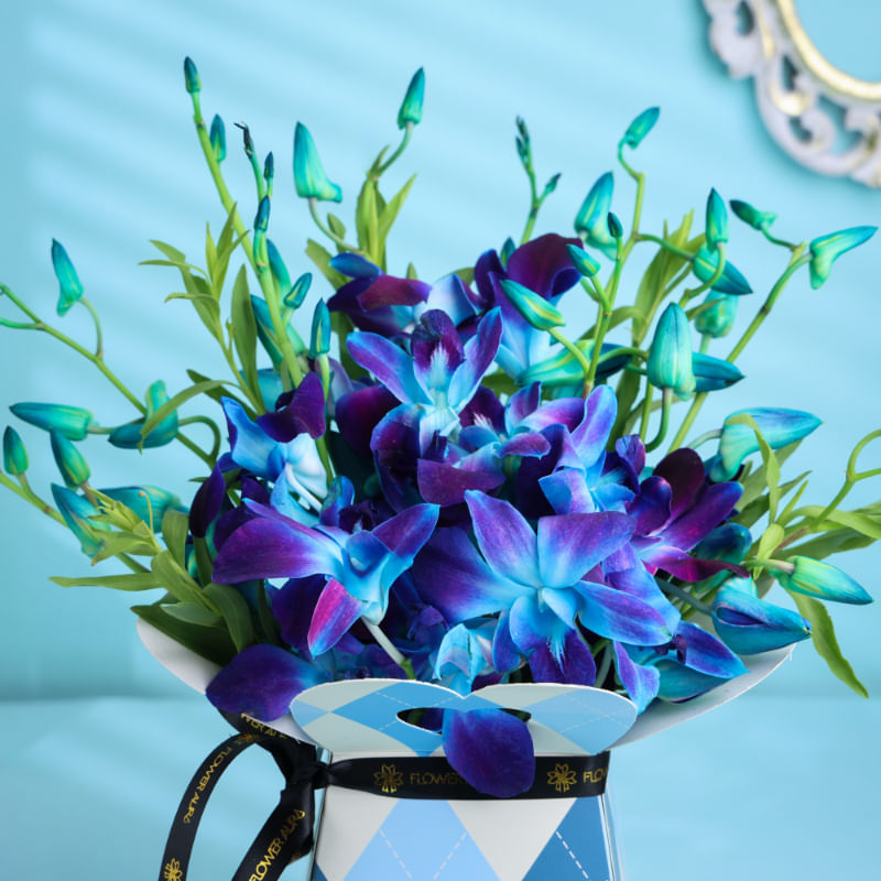Product Image Video