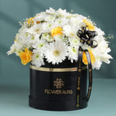 Golden Bloom Gerbera & Rose Round Box - MKTPLC