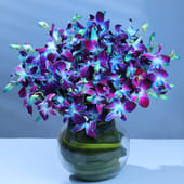 Blue Orchid Elegance in Fish Bowl MKTPLC