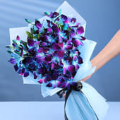 Sky Blue Orchid Delight MKTPLC