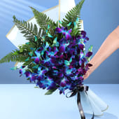 Sky Blue Orchid Premium Elegance MKTPLC