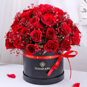 Story Enveloped In Scarlet Roses MKTPLC