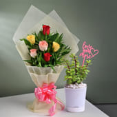 Love You More Jade Plant & Mixed Roses