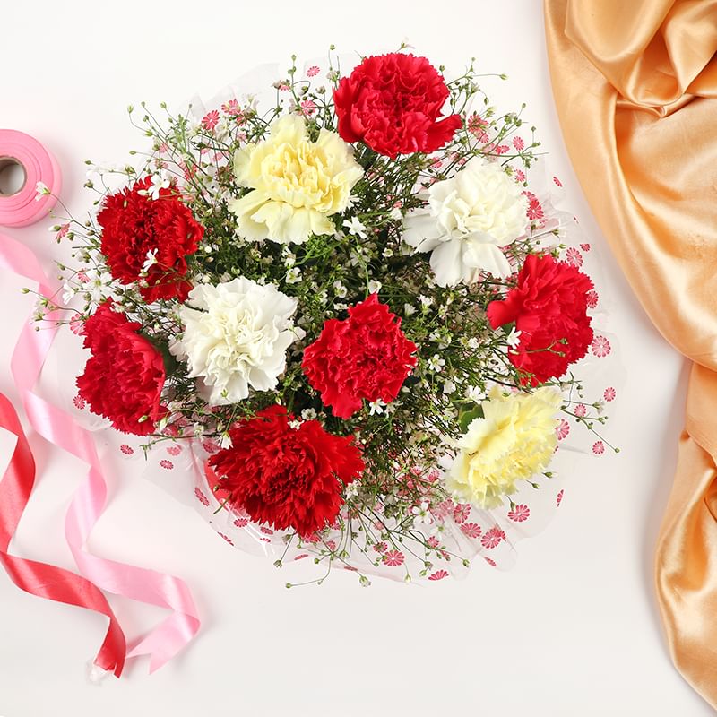 10 Mixed color Carnation with Top View