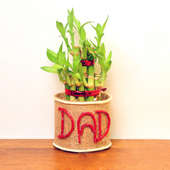 Jute Wrapped Bamboo in Glass Vase for Dad