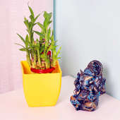 2 Layer Lucky Bamboo with Ganesha Statue