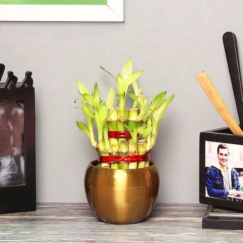 2 Layer Bamboo Online With Ganesha in a Vase