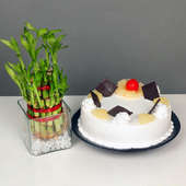 Lucky Bamboo with Pineapple Cake Combo for Mom