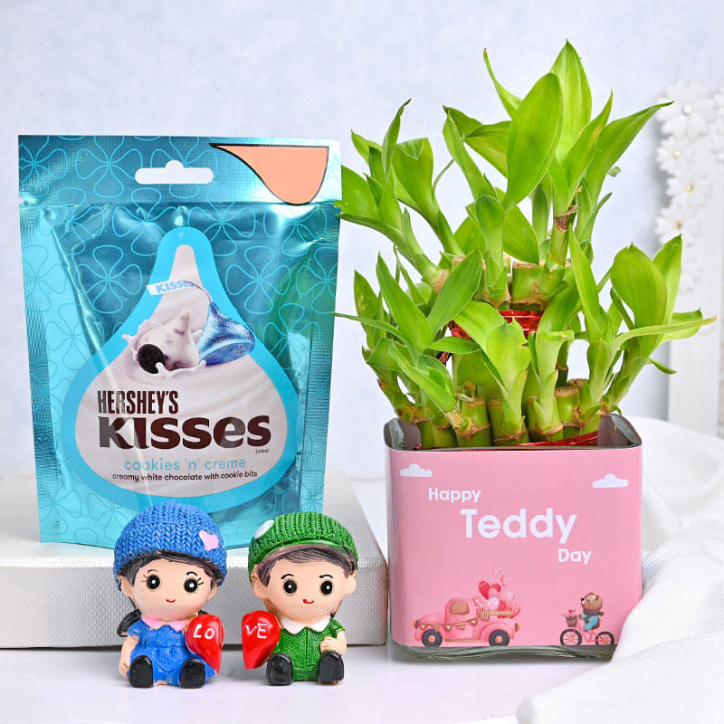 2 Layer Lucky Bamboo Combo