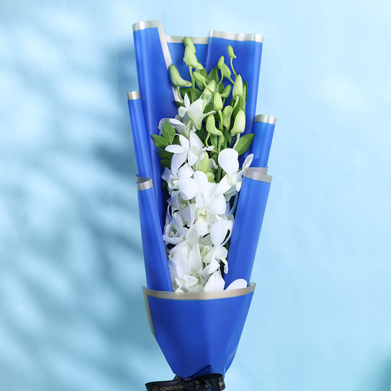 2 White Orchid In Dark Blue Paper