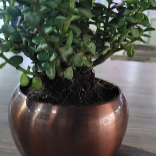 Ceratizit Revised Product 