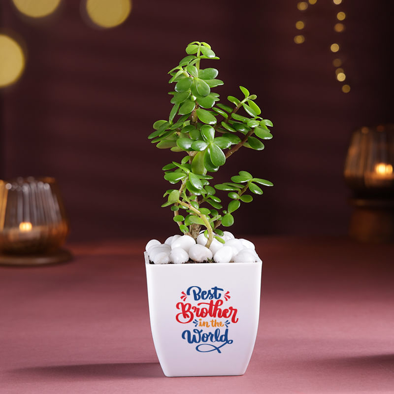 Product Image Video