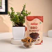 Jade Plant N Bbq Almonds Gift Set