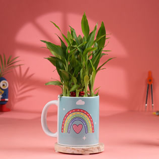Bamboo Plant In Rainbow Mug