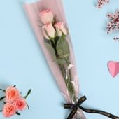 3 Pink Roses In Floweraura Sleeve