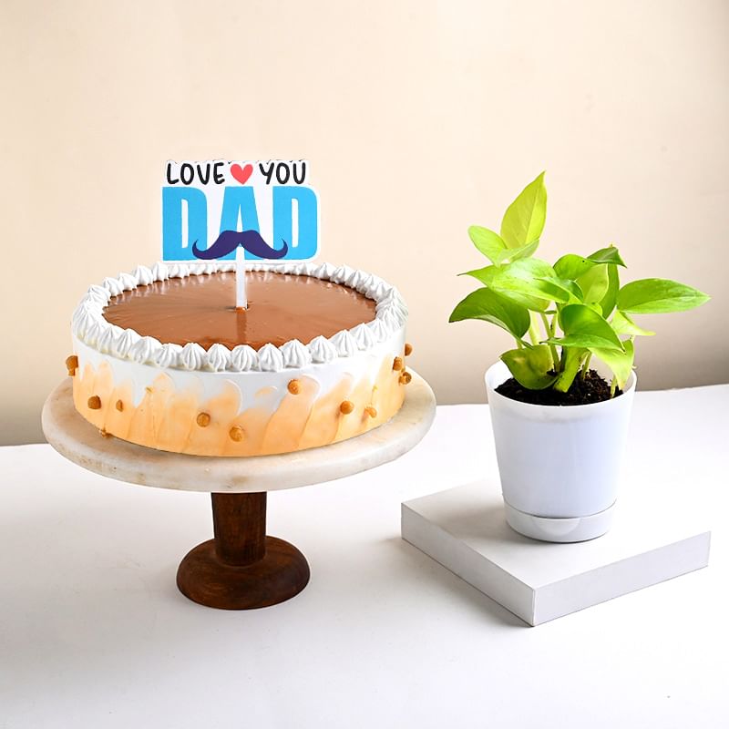 Money Plant With Butterscotch Cake