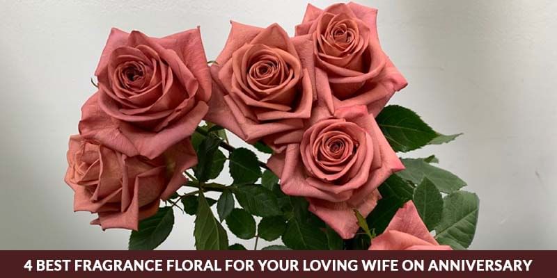 4 Best Fragrance floral for your loving wife on anniversary